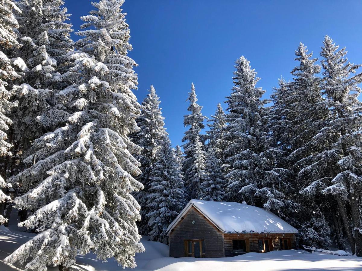 T2 Bis Sud -6 Pers- Chamrousse 1700 Bachat Bouloud Apartment ภายนอก รูปภาพ